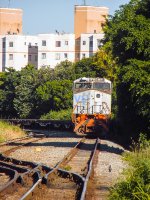 VLI 8681